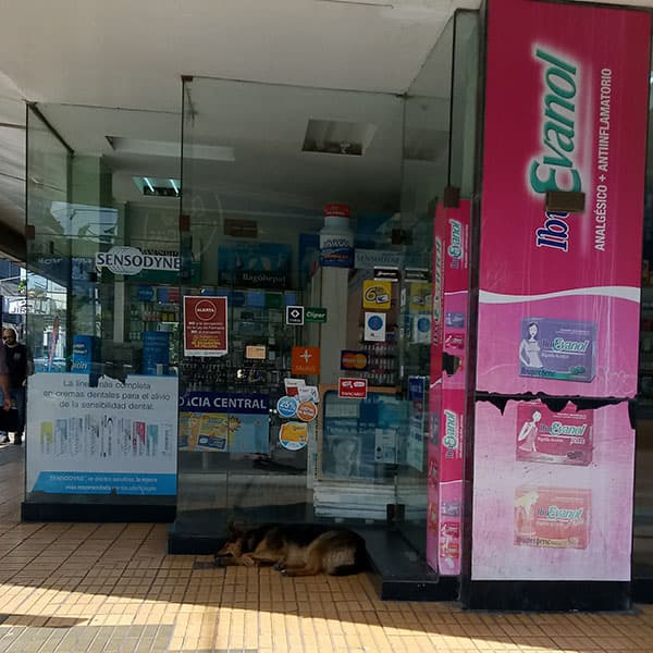 Imagen de Farmacia Central